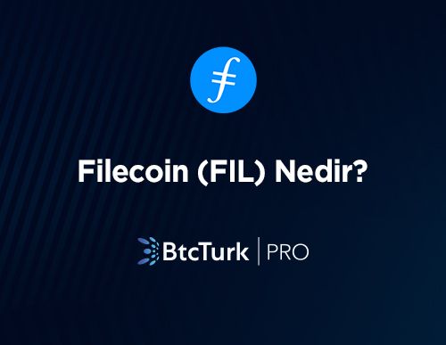 Fil olayının sebebi nedir?