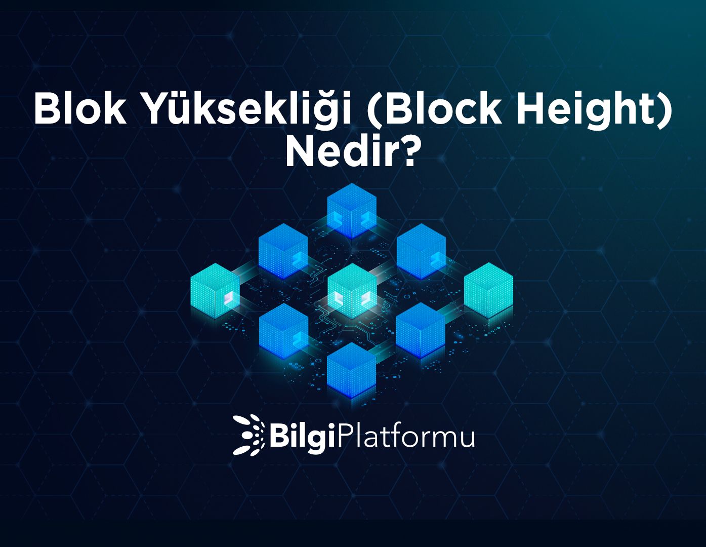 Blok Yüksekliği (Block Height) Nedir?