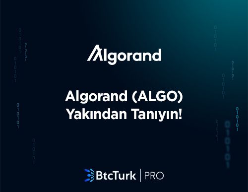 Algorand (ALGO) Yakından Tanıyın