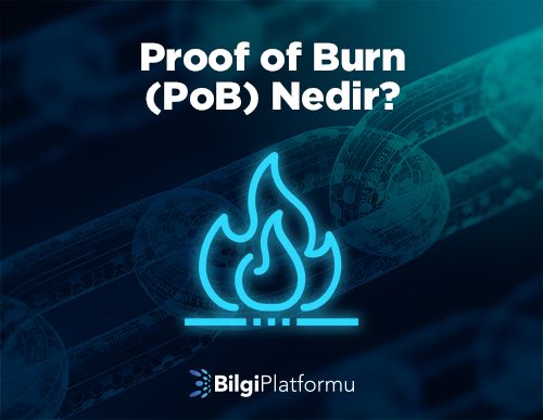 Proof of Burn (PoB) Nedir?