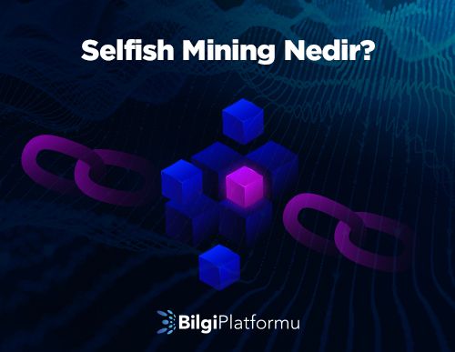 Selfish Mining Nedir?