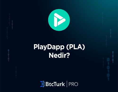 PlayDapp (PLA) Nedir? Nasıl Çalışır?