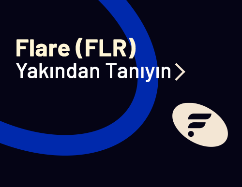 Flare (FLR) Yakından Tanıyın