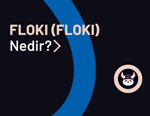 FLOKI (FLOKI) Nedir? Nasıl Çalışır?