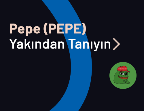 Pepe (PEPE) Yakından Tanıyın